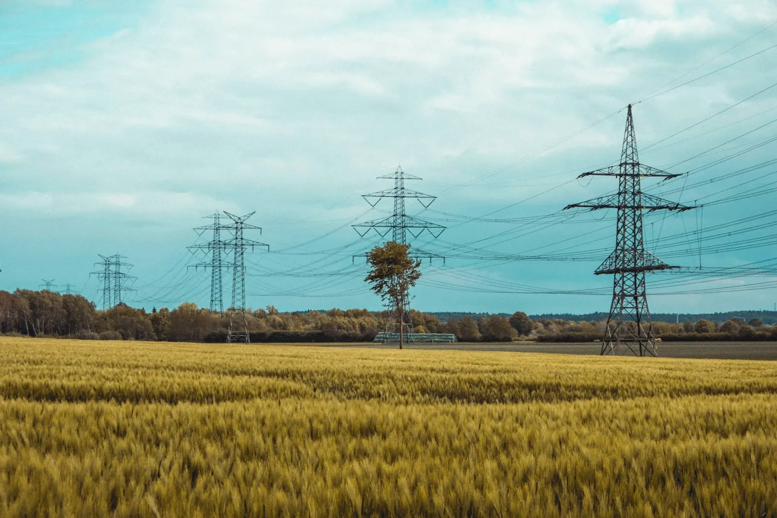 Lignes à haute tension au-dessus d'un champ de blé