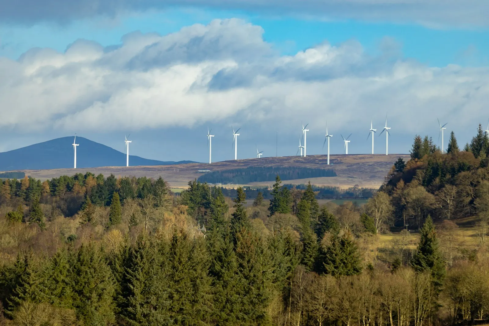 Éoliennes au-dessus d'une forêt